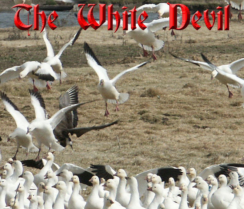 White Devil Snow Goose Call By Basin Waterfowl Calls
